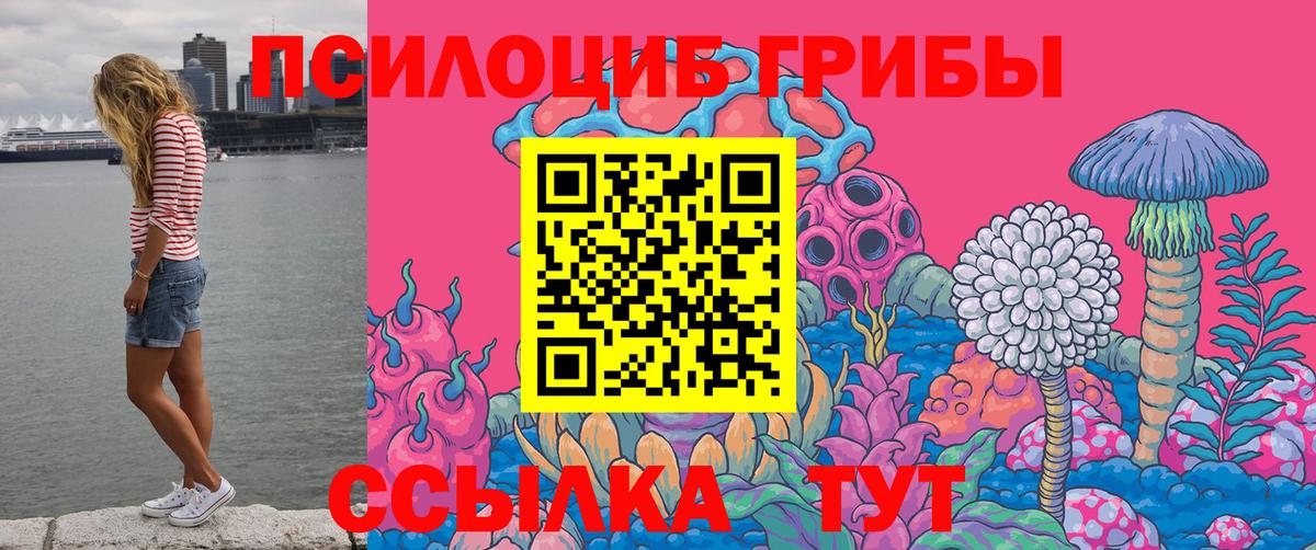 Галлюциногенные грибы ЛСД  Вход с VPN  Кизляр  Псилоцибиновые грибы мицелий 