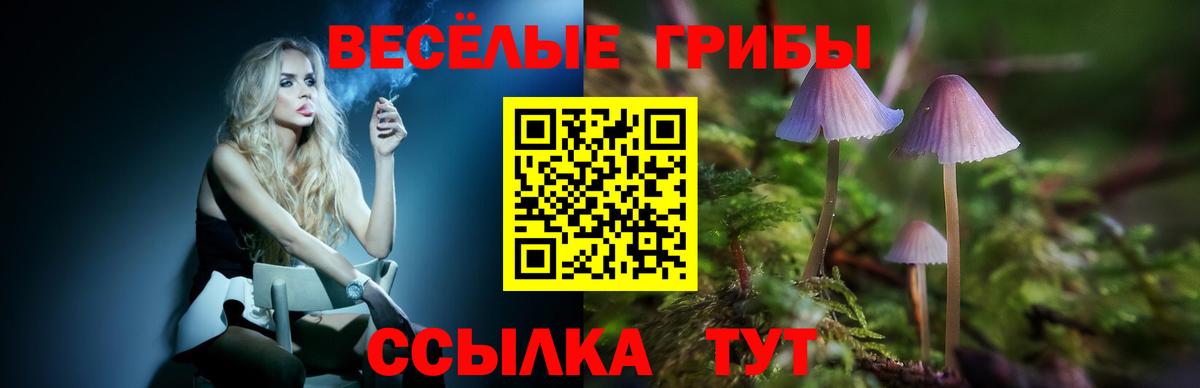 Галлюциногенные грибы Magic Shrooms Кизляр